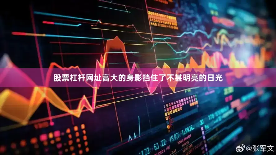 股票杠杆网址高大的身影挡住了不甚明亮的日光